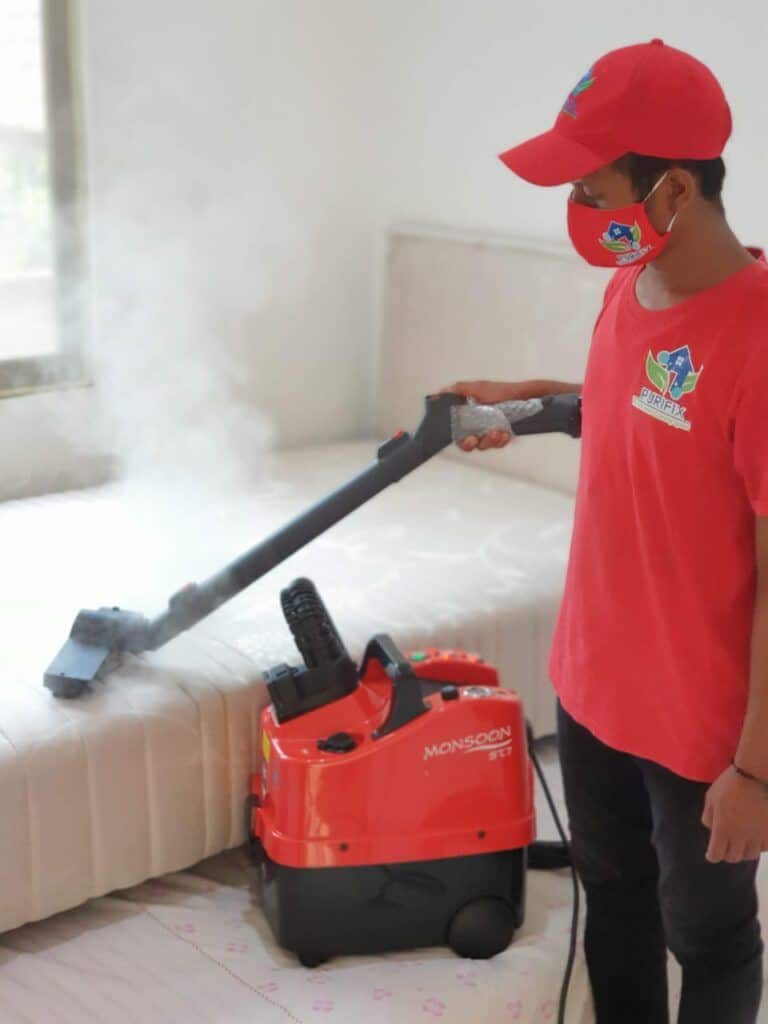 STEAM CLEANING (BED BUG TREATMENT)