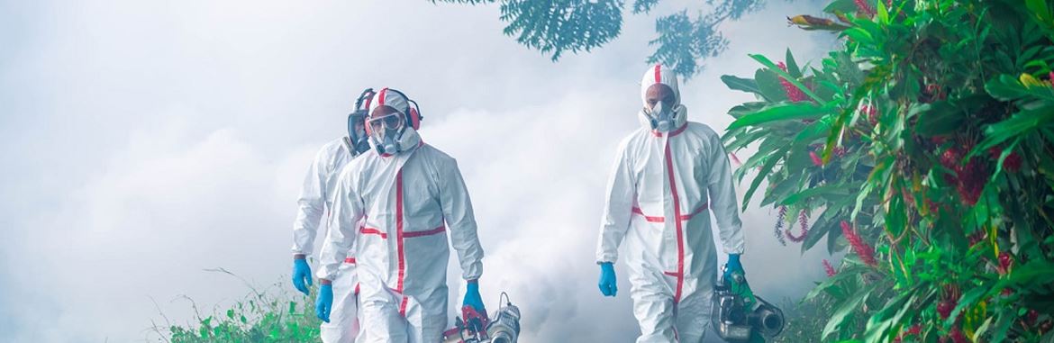 Mosquito cold fogging service