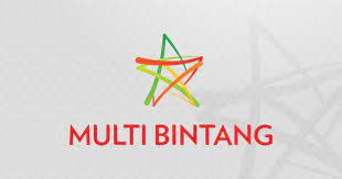 Logo Multi Bintang